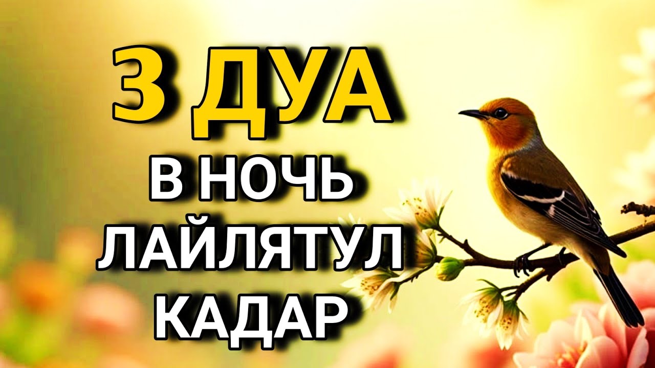 ☝️💙 Эта ночь меняет судьбу! Важность молитвы в Лайлатуль-Кадр 🤲✨💯