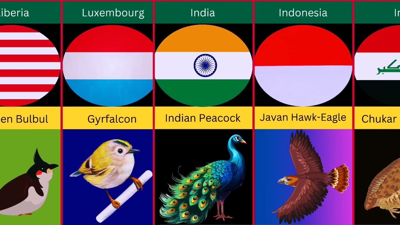 Birds of Different Countries