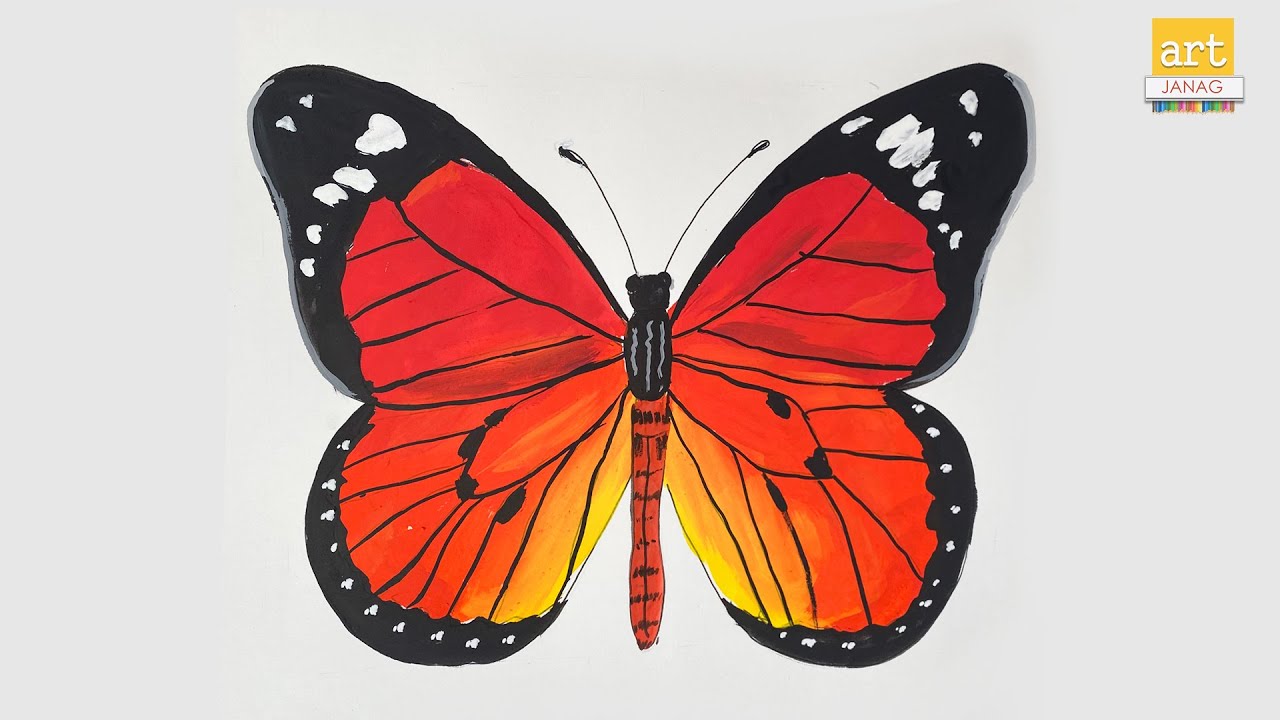 How to Draw a Butterfly  II Butterfly drawing II #artjanag