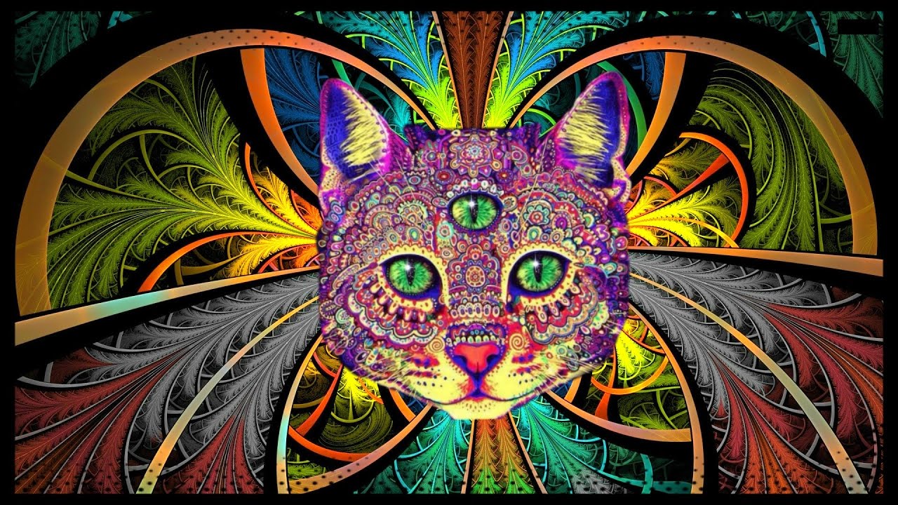 Best Rave/Party Songs Mix #2: PSY TRANCE, MINIMAL & HEAVY BASS (songs in description)