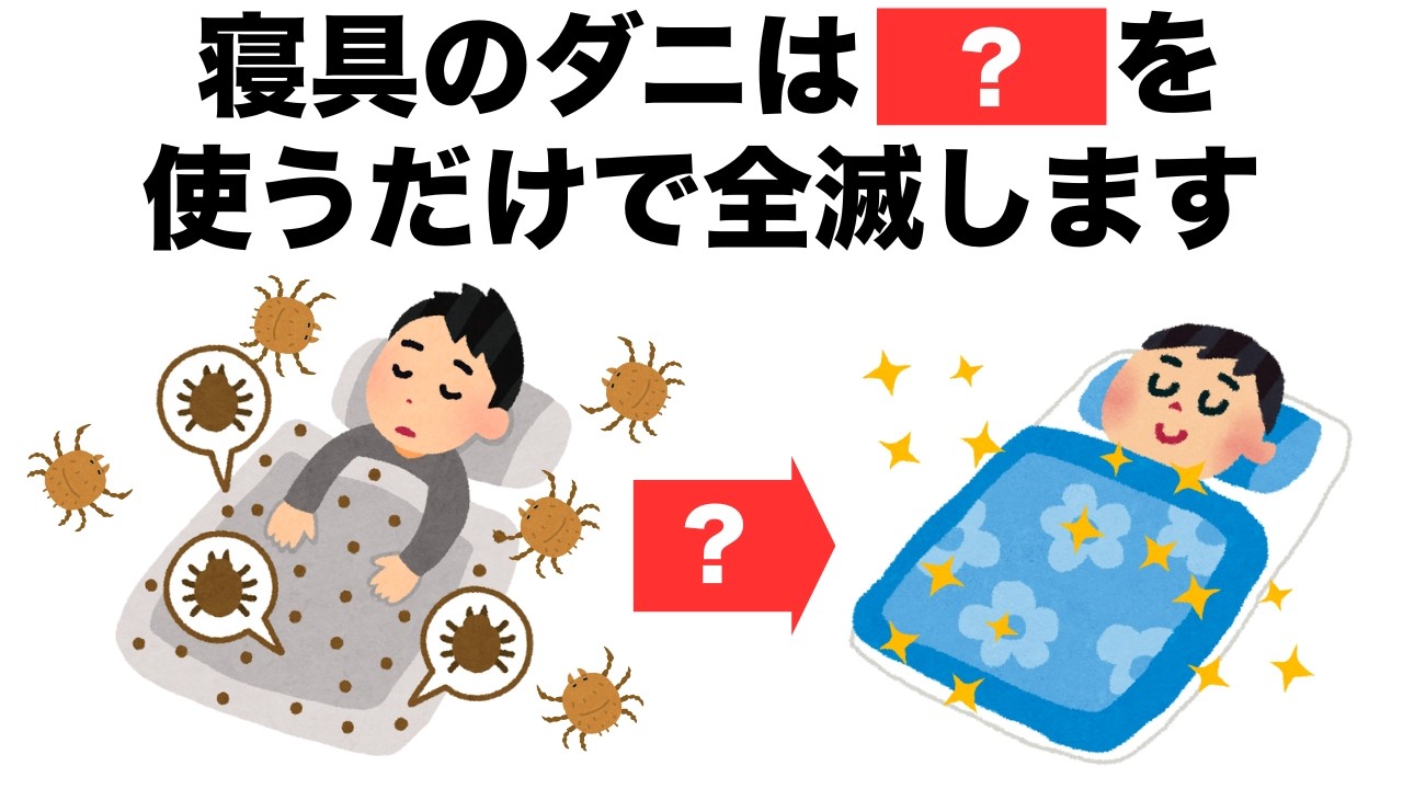 布団のダニは●●で全滅