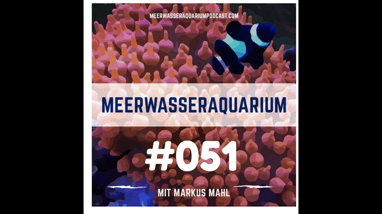Glasarten und Silikonarten im Aquariumbau  -  Aquarium West GmbH M&uuml;nchen