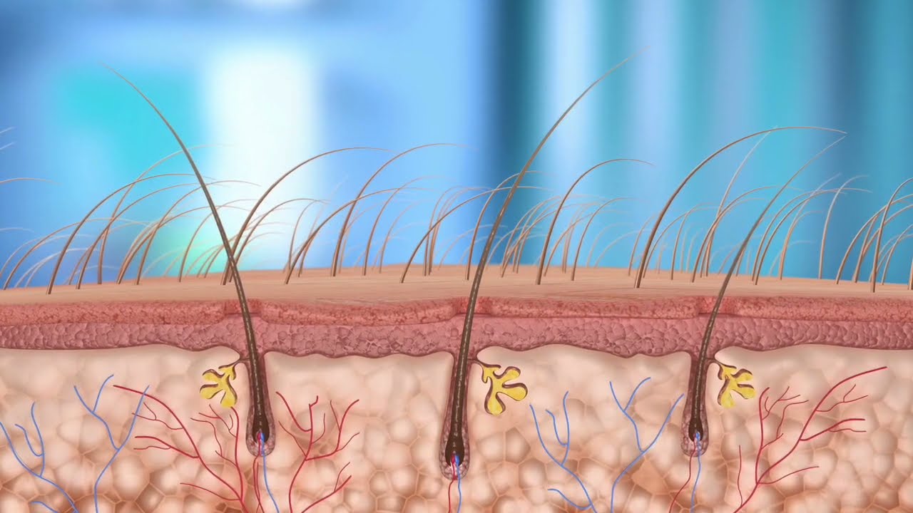 Как использовать муравьиное масло