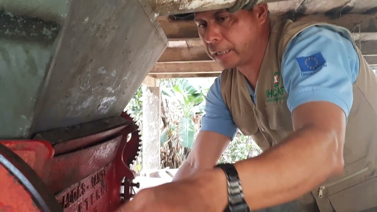 Ajuste y calibracion de Maquinas despulpadoras de cafe cilindro horizontal