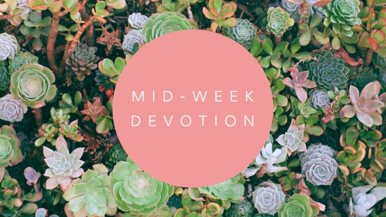 Midweek Devotion February 5, 2026