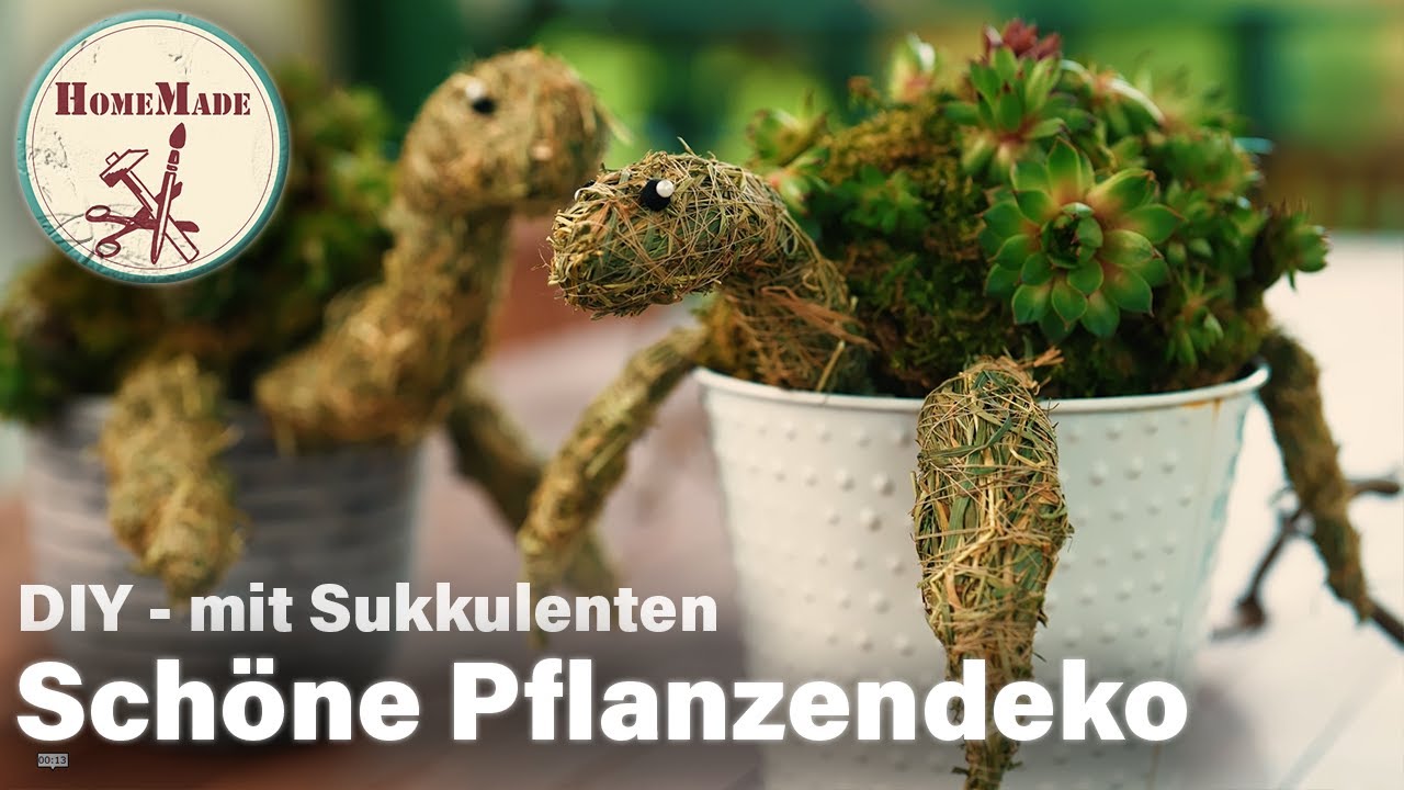 DIY | Sch&ouml;ne Pflanzendeko mit Sukkulenten | Schildkr&ouml;te aus Moos und Heu selber machen
