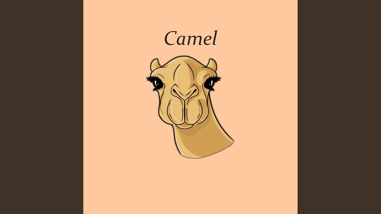 Camel