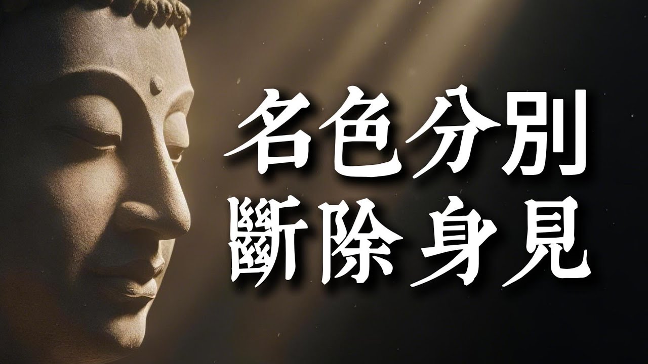 從凡夫到聖者的唯一道路？《解深密經》深藏的實證法門：親見「究竟法」，徹底斷除身見！#禪修 #佛法 #解脫 #實證 #四界分別觀 #修行 #斷身見 #初果 #南傳佛教 #阿毗達摩