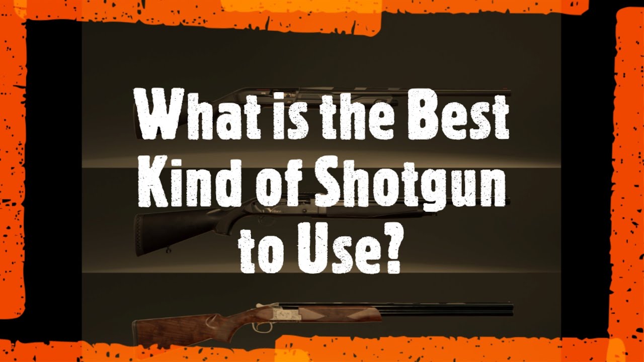 What is the Best Kind of Shotgun to Use? - Hunting Simulator 2