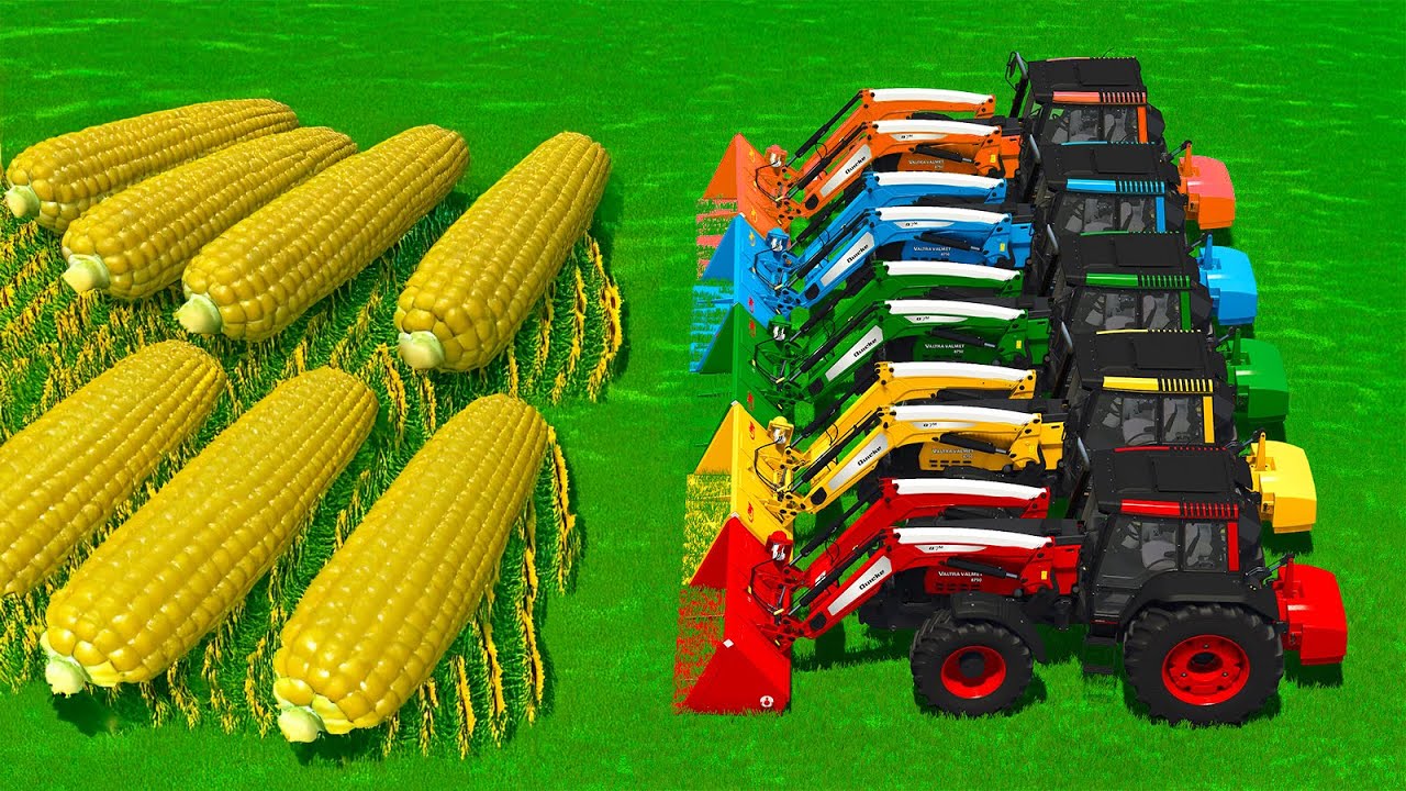 CUT SUNFLOWERS & CORN AND MAKE CHAFF WITH FORAGE HARVESTER - Farming Simulator 25