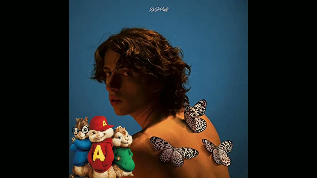 sangiovanni - farfalle (Sanremo 2022) cover chipmunk