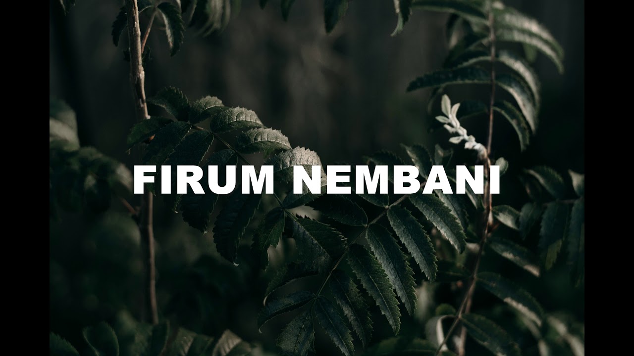 Lagu daerah waropen -_- Firum Nembani