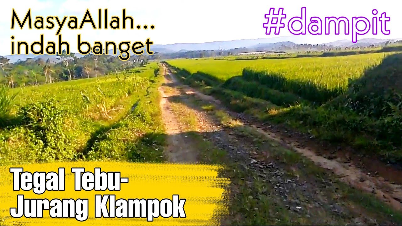 Dari Tegal Tebu Ke Jurang Klampok Lewat Areal Pesawahan Desa Pamotan, Dampit || Djarno Channel