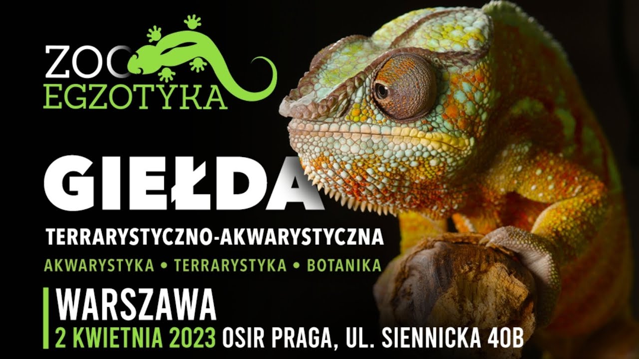ZooEgzotyka 02.04.23 - relacja akwarystyczna
