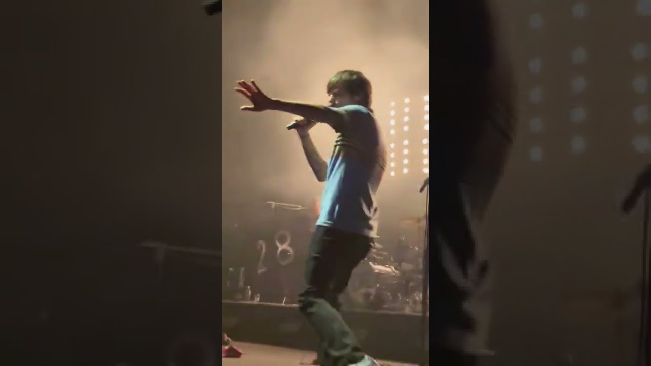 Louis Tomlinson being hit in the head with a chicken nugget ~LTWT Highlights (NYC Night 2)
