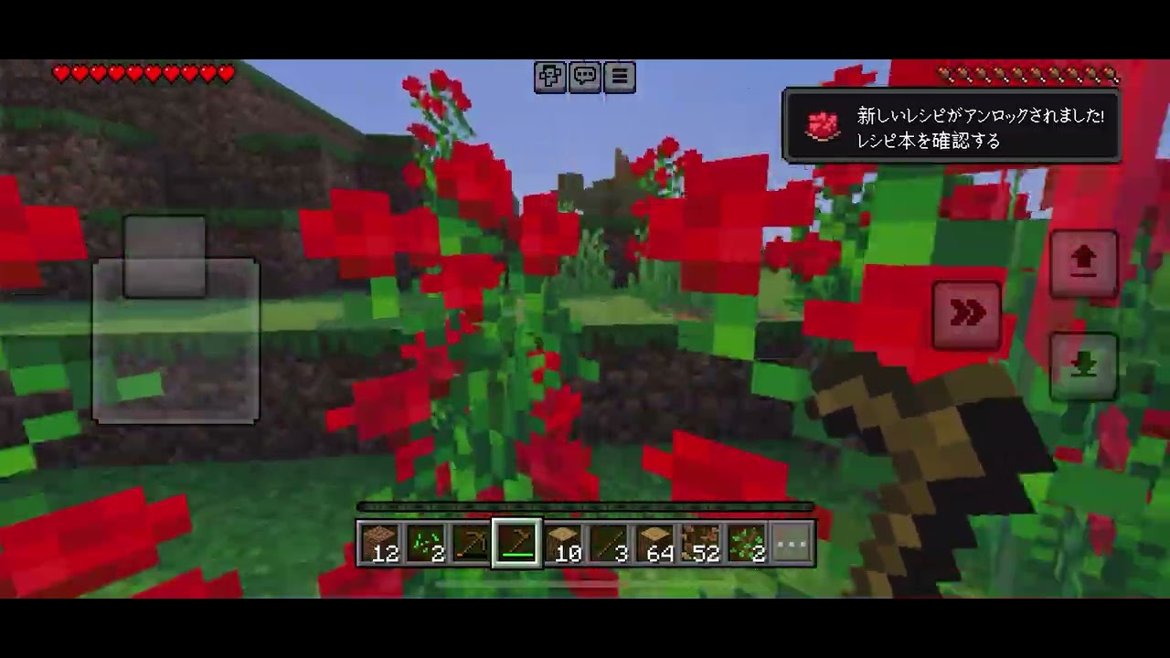 Minecraft ♯40
