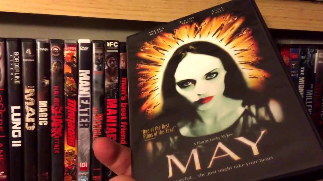Horror DVD Collection Shelf 8