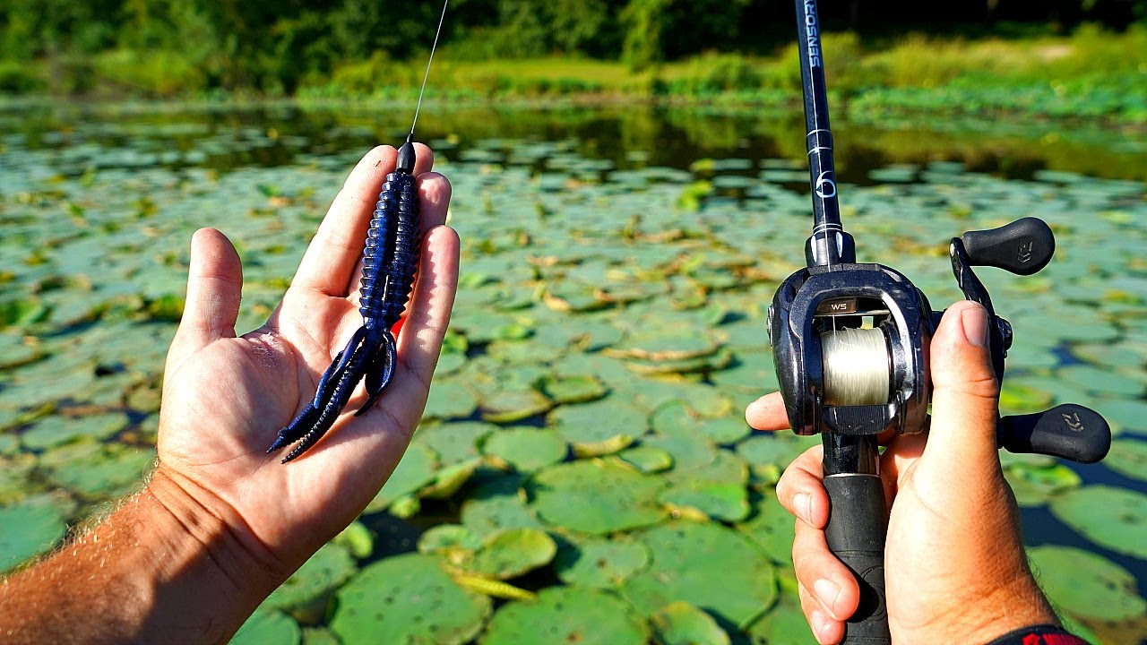 The BEST Flipping Lake EVER?!?! (Summer Bass Fishing)