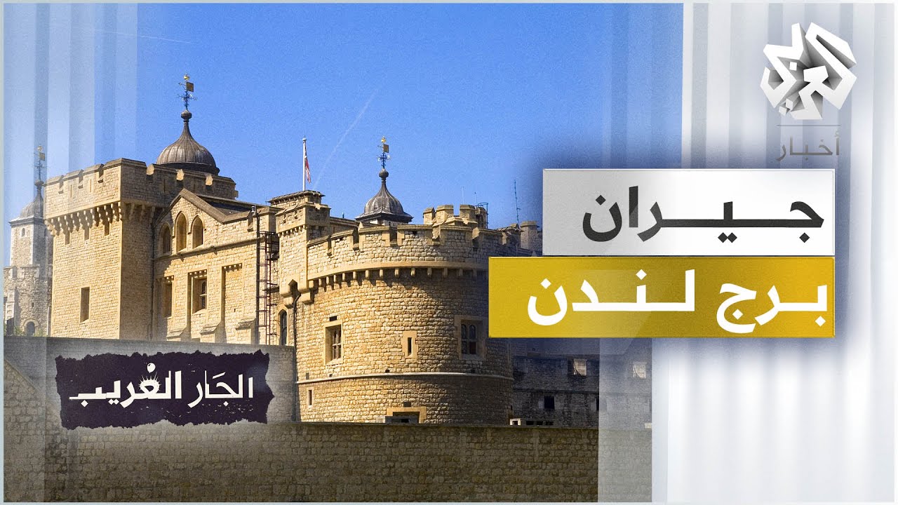 جيران برج لندن | الجار الغريب