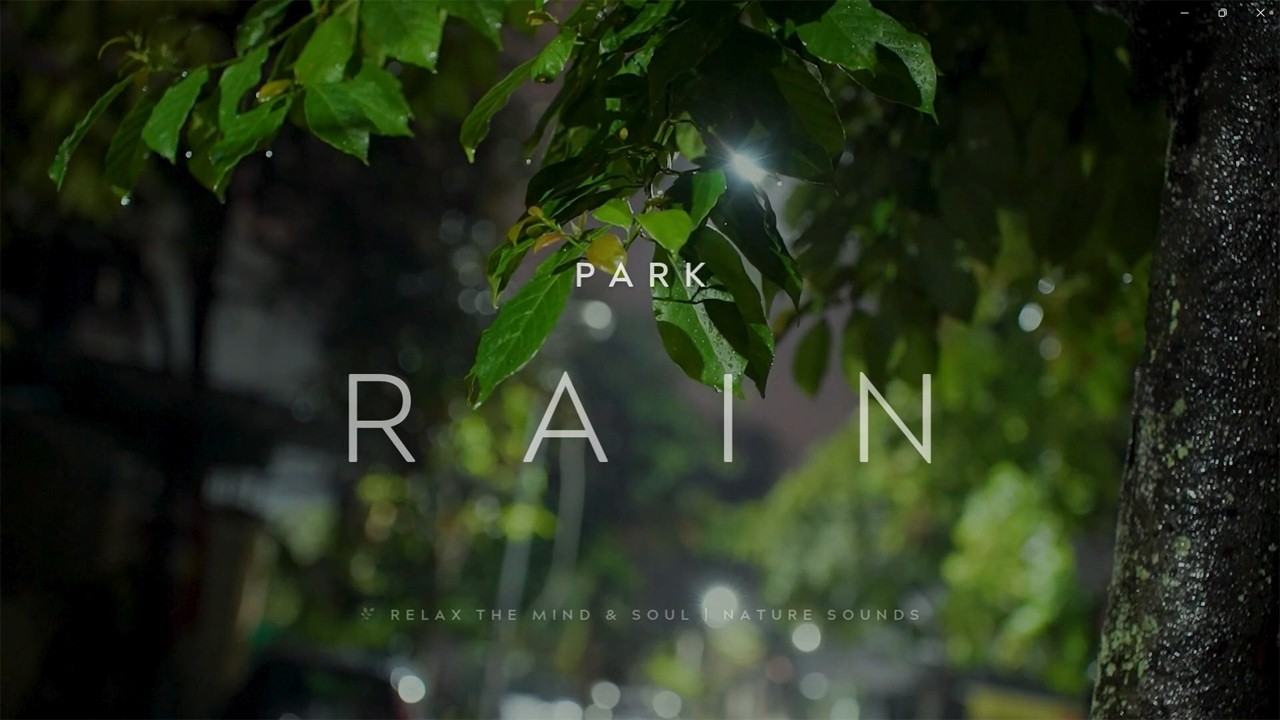 Steady Rain Sounds for Deep Sleep 🌧️ | Nature Sounds