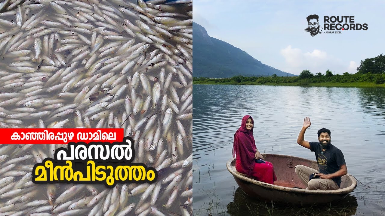 കാഞ്ഞിരപ്പുഴ ഡാമിലെ പരസല്‍ മീൻപിടുത്തം | Kanjirappuzha Dam Fishing | Route Records