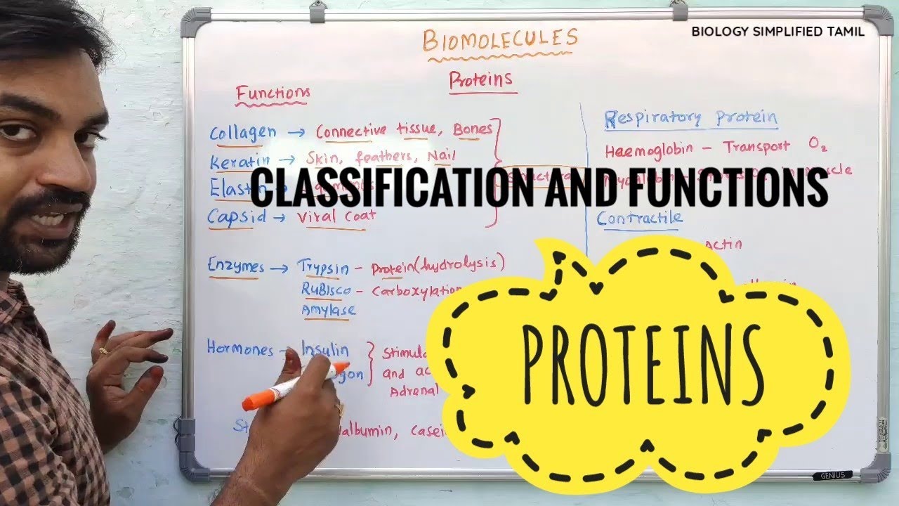 Biomolecules | Proteins | Senthilnathan