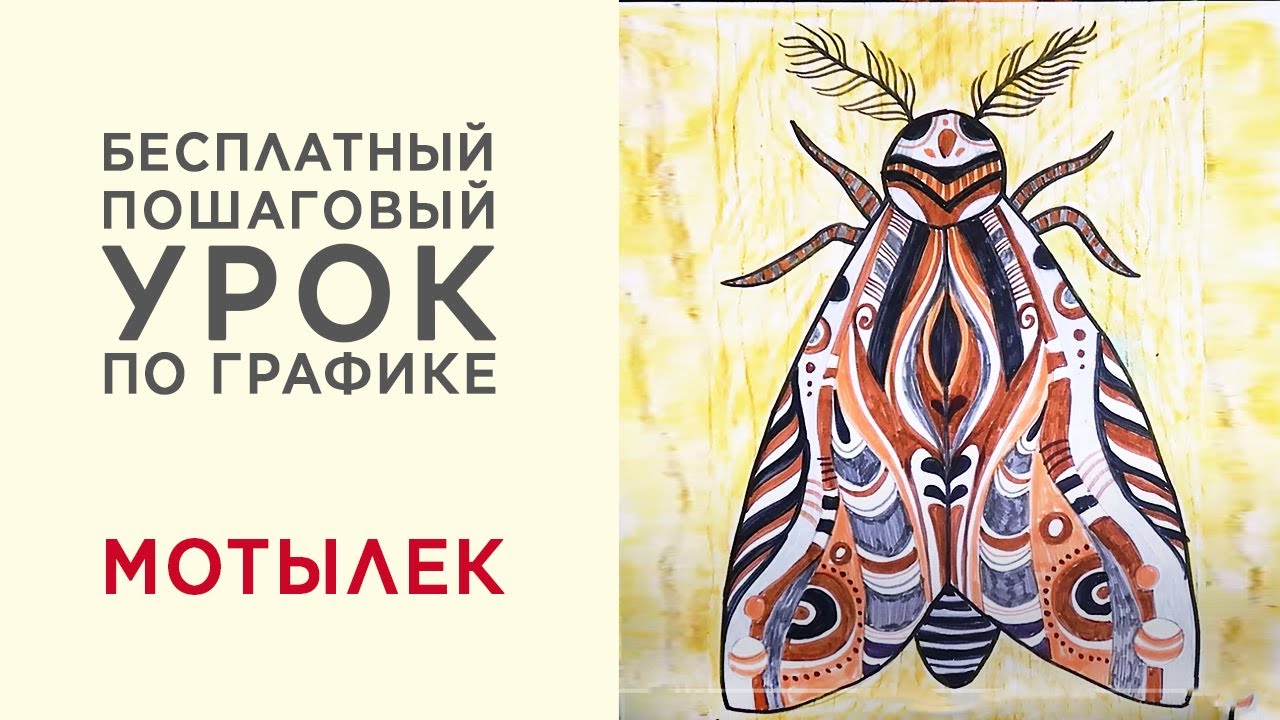 Как нарисовать мотылька фломастерами. Урок по графике для детей от 6 лет и взрослых.