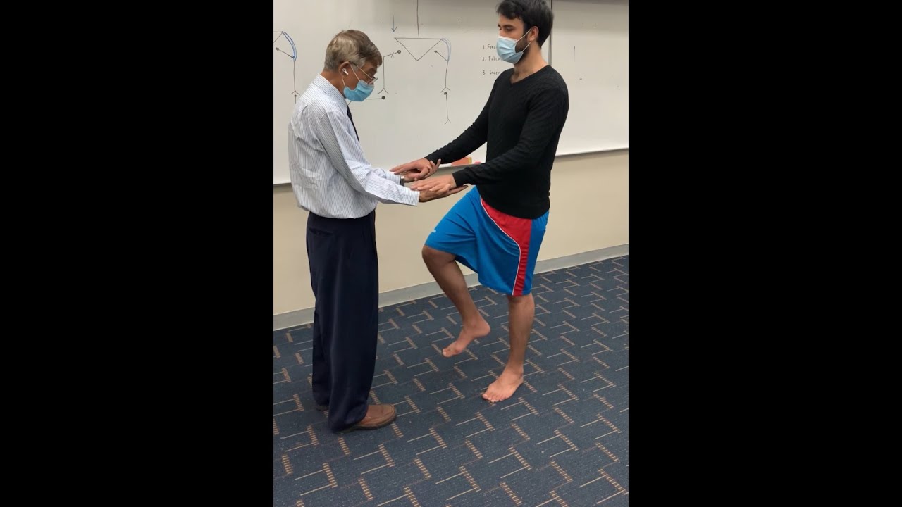 Hip Examination