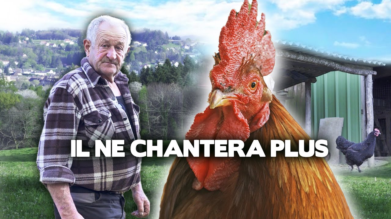 Le coq est mort 🐓