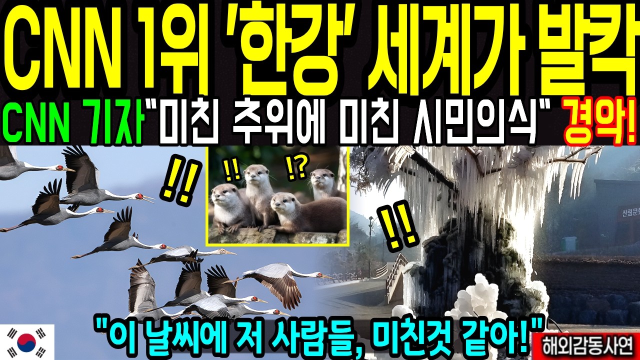 서울 한강 또 난리났다! CNN 초대박! 전세계가 깜짝 놀란 한국의 칼바람 한파 극복 다큐멘터리 [해외감동사연]