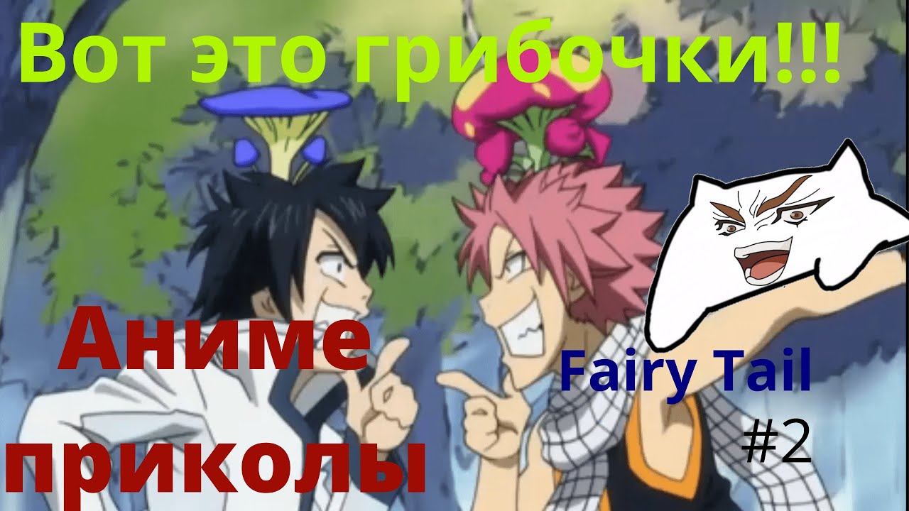 ЛУЧШИЕ Аниме приколы ХВОСТ ФЕИ #2 (Fairy Tail)
