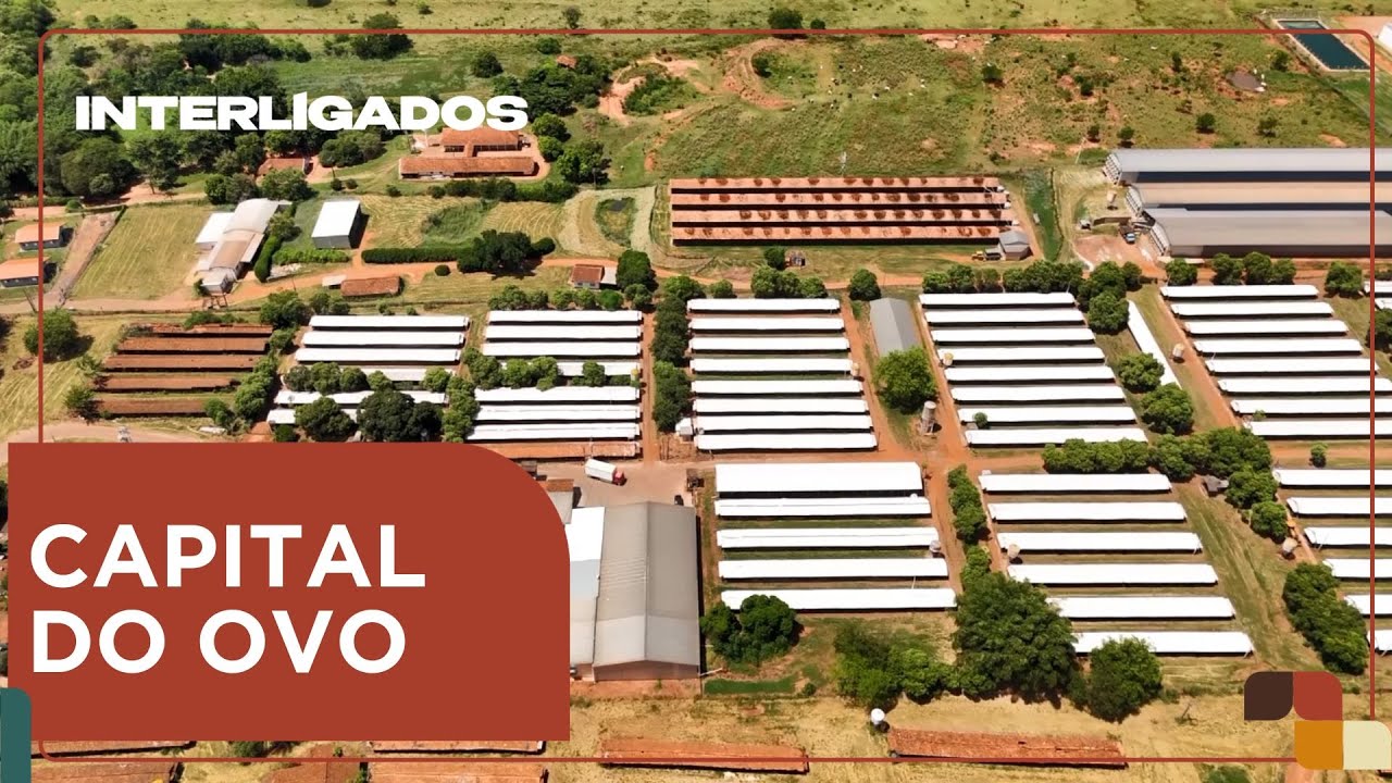 Conhe&ccedil;a Bastos: uma das maiores regi&otilde;es produtoras nacionais de ovos | Interligados - 26/03/2025