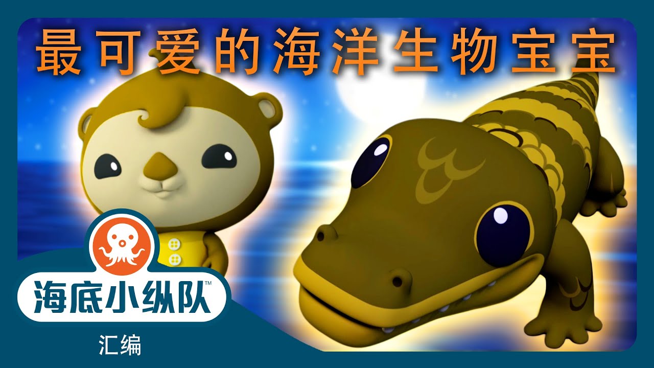 海底小纵队 - 🦦 最可爱的海洋生物宝宝 🐬 | 汇编 | 集完整版