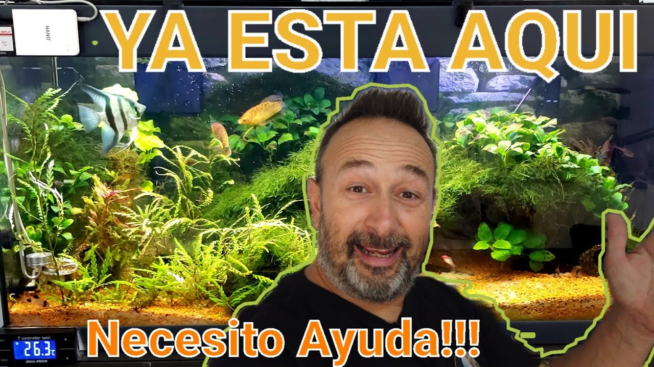 ACUARIO PLANTADO HIGH TECH | Presentacion