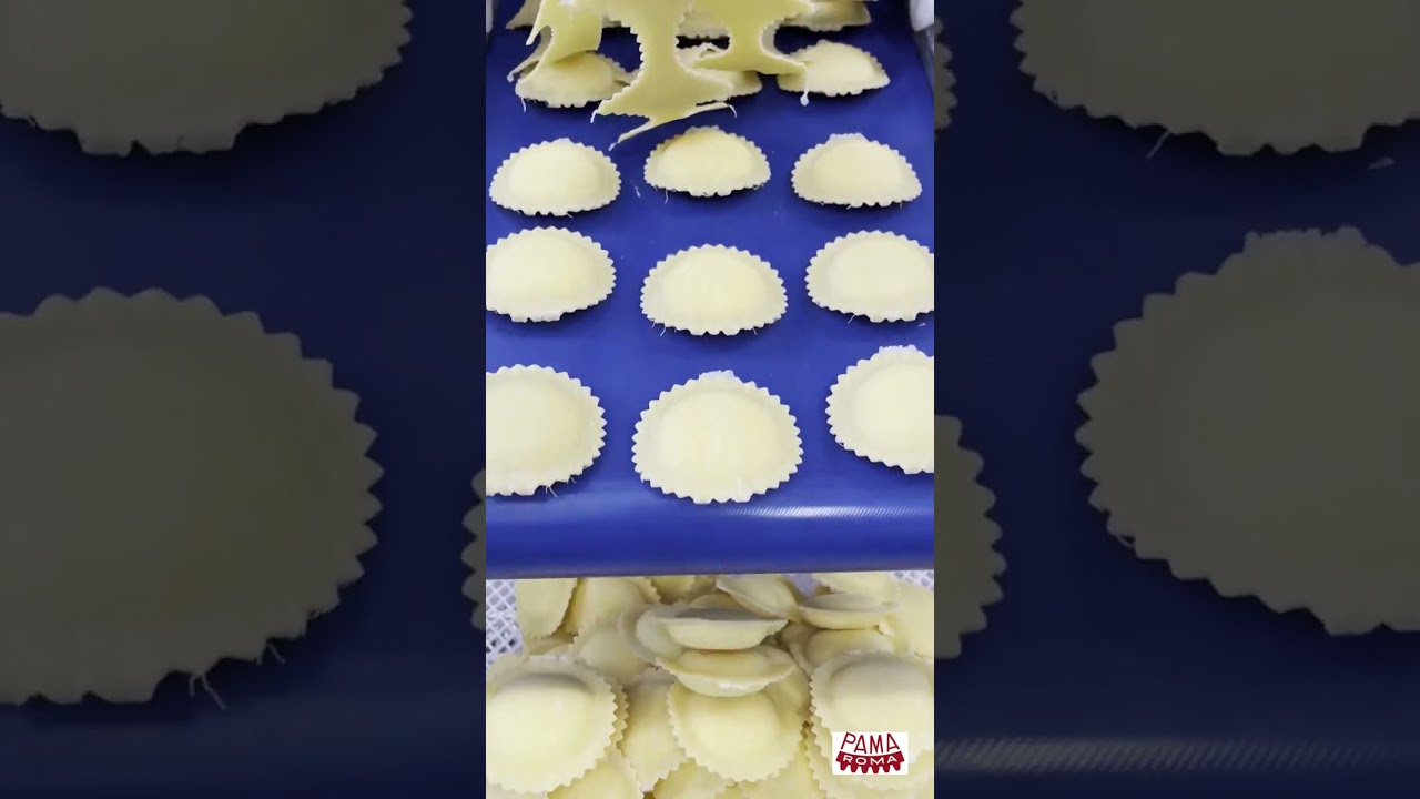Machinery for the production of ravioli: RN/220