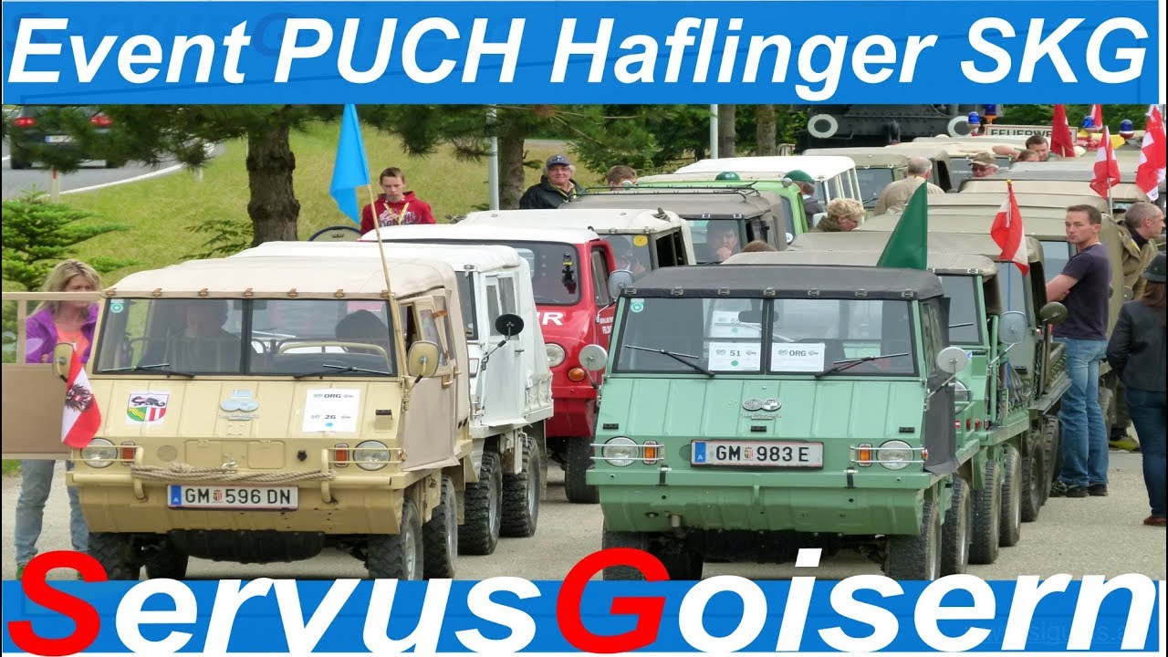 PUCH Haflinger Treffen Salzkammergut 2014