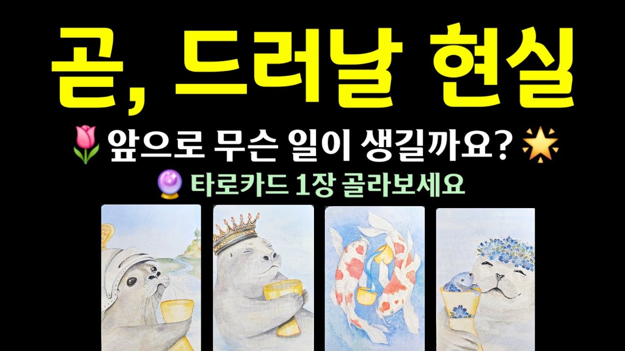 #타로 | 곧, 드러날 현실 🌟 앞으로 무슨 일이 생길까요? #타로운세 