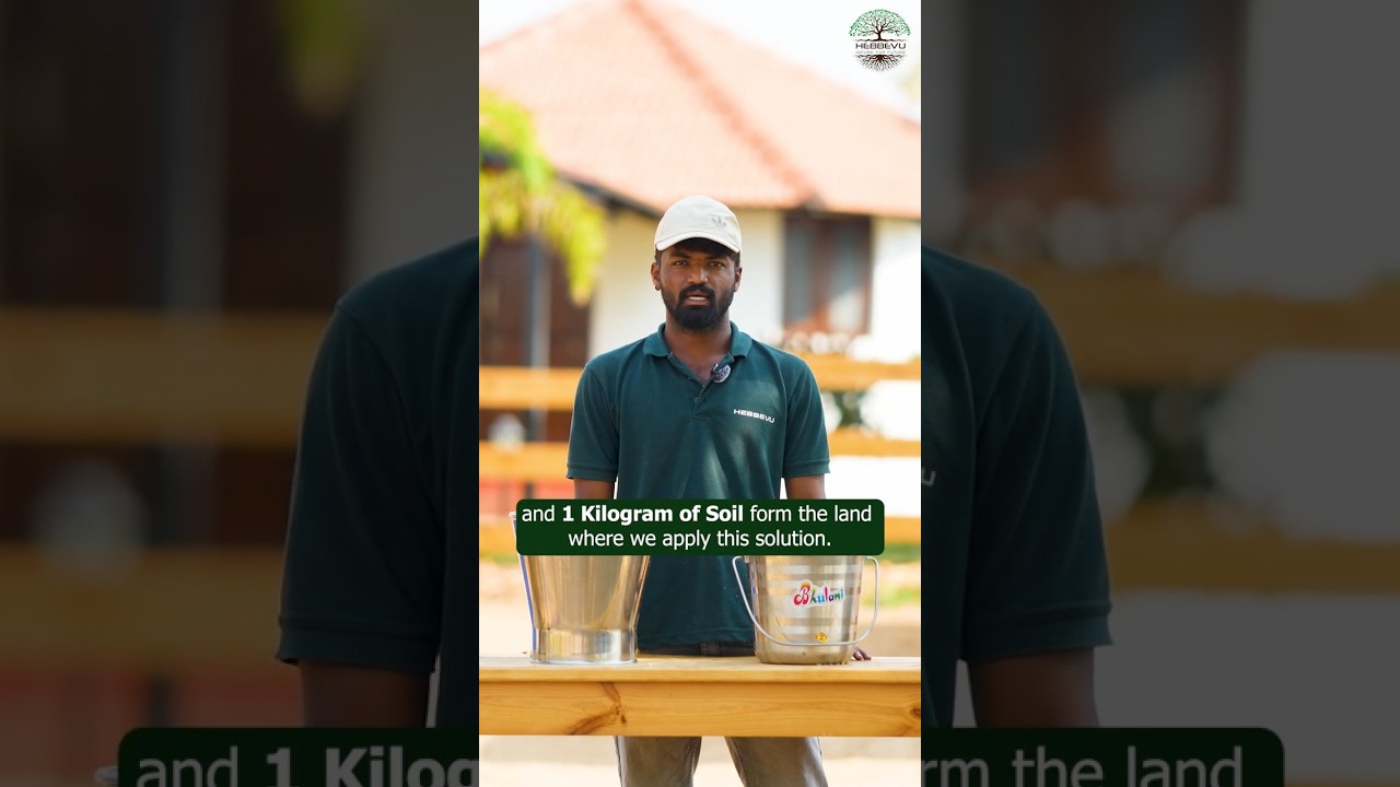 Explore the age-old method of Jeevamrutha preparation