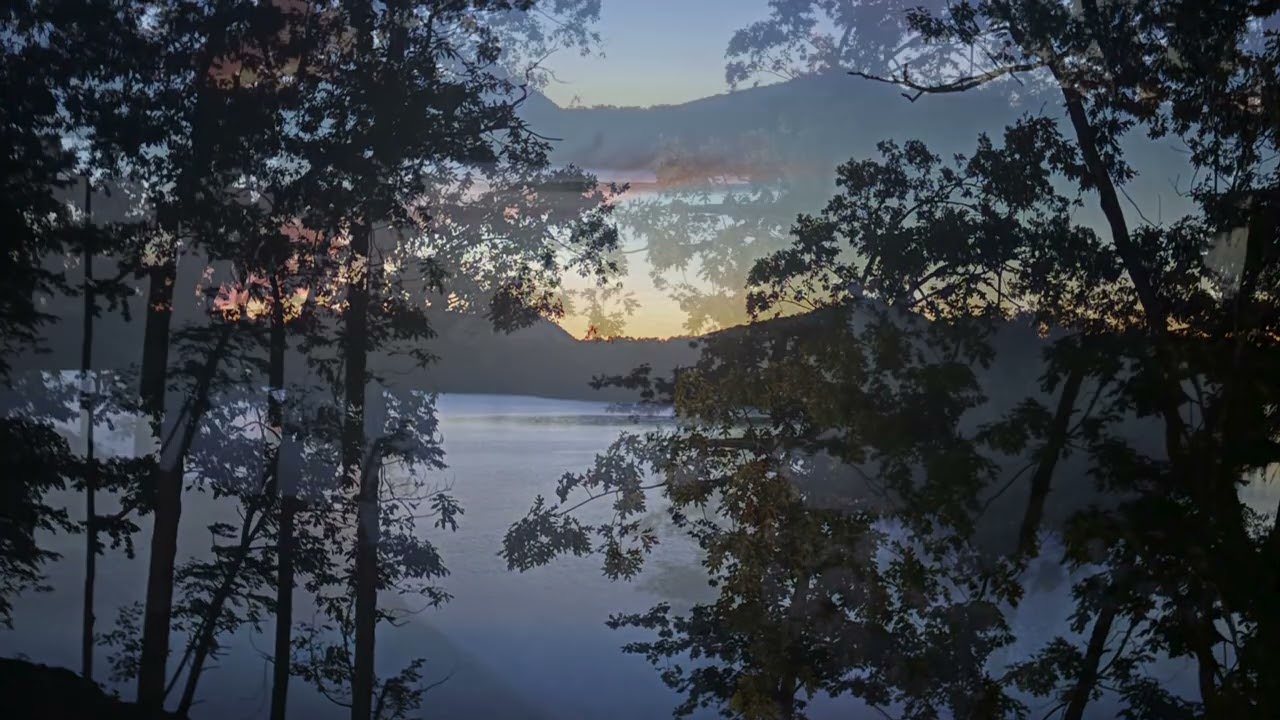 Held by Dusk — A Soft Phoenix Meditation