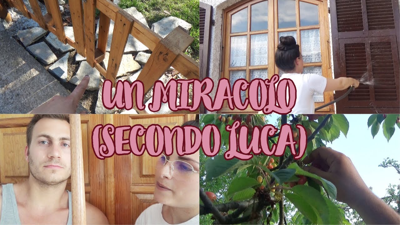 Vlog - che fastidio, pulizie serali, aggiornamenti vari e prima ciliegia a Casa Ciliegia