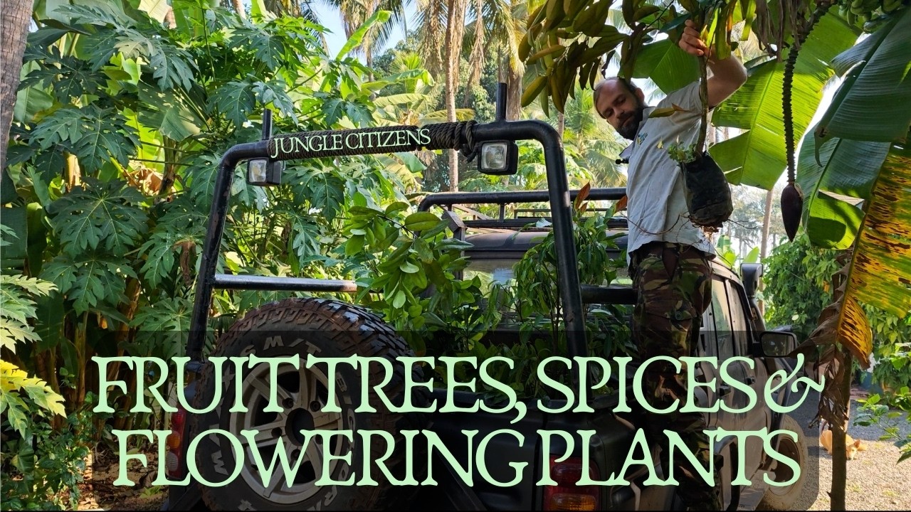 TROPICAL FRUIT & FLOWERING TREES for an exotic backyard food forest garden - UNPACKING & FACTS