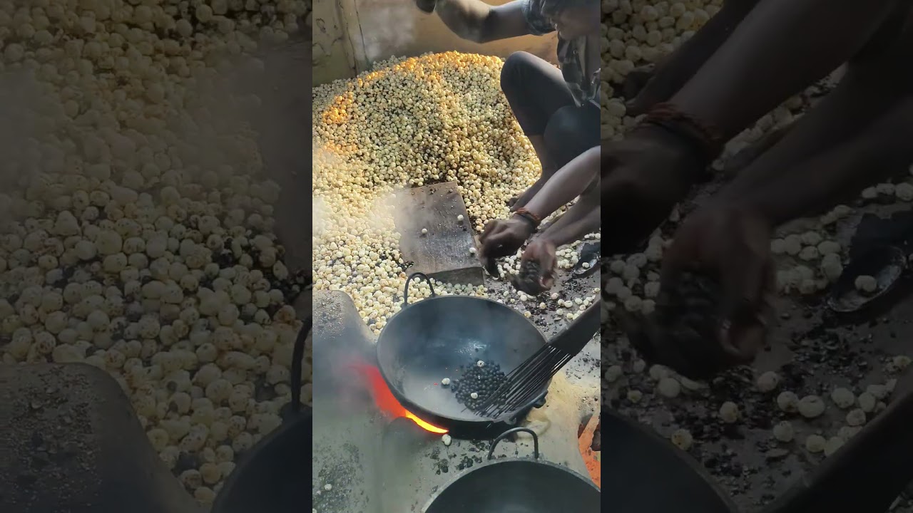 #gopalkumar #video #fruit #ekmotahathighumechala #farming #streetfood #makhana