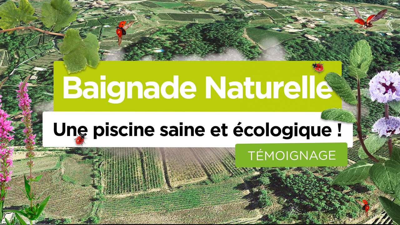 Baignade Naturelle : Une piscine saine et écologique ! (Témoignage)