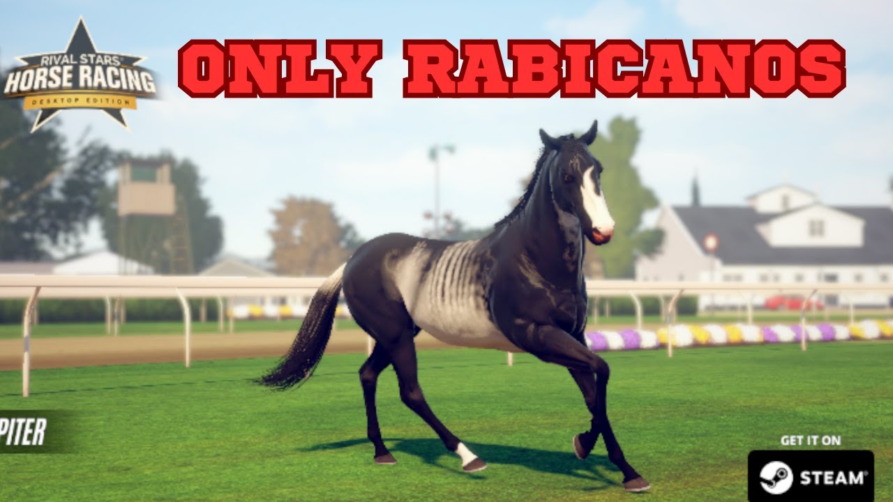 BREEDING ONLY RABICANO HORSES | Rival Stars