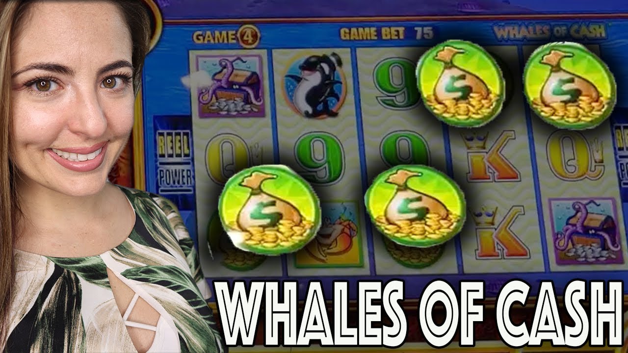$25 BET! Whales of CASH Wonder 4 Boost! w/ Lady Luck HQ