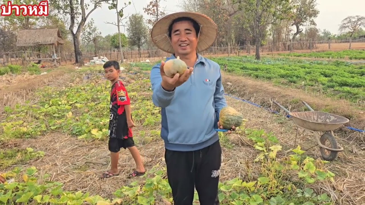 เป็นเยอะมาก มีแต่ลูกเล็กๆ.