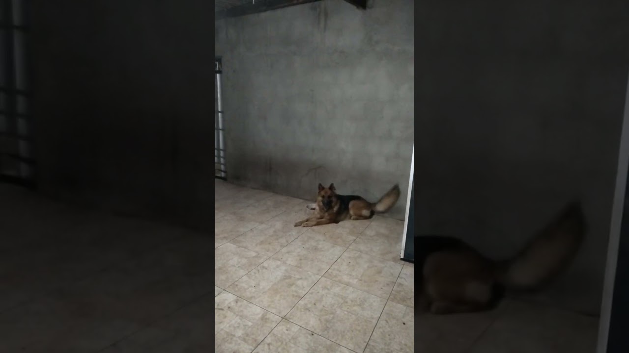 MAIS UMA PERDA ,E  TÃO DIFICIL