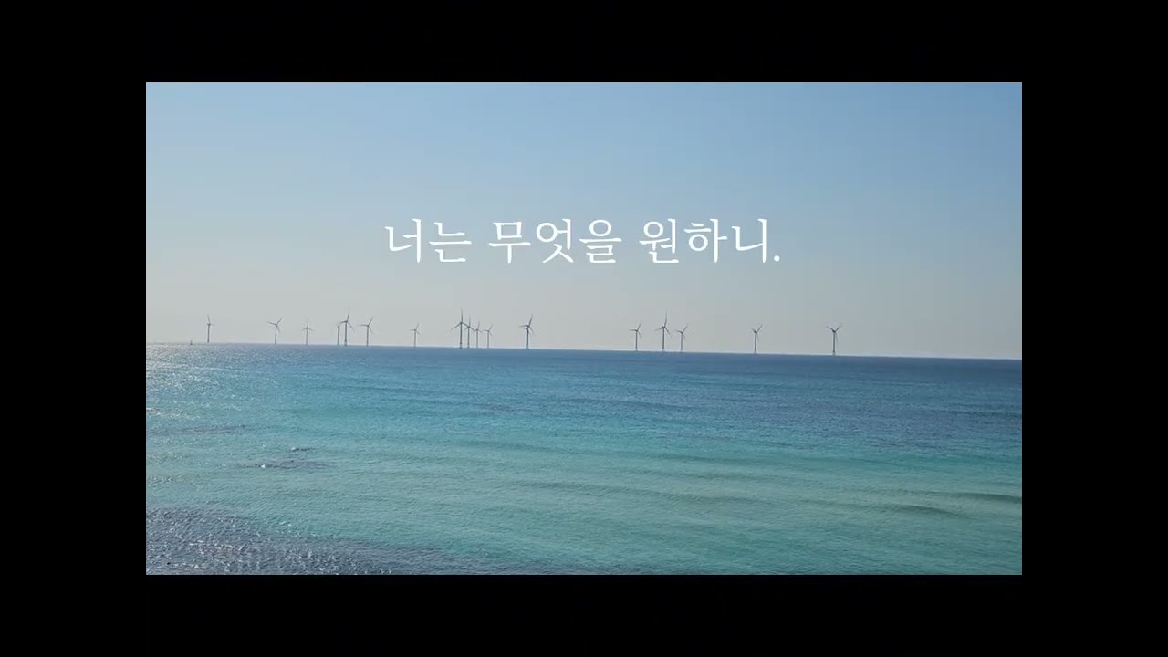 Vlog/홀로 제주 애월로 떠나다.