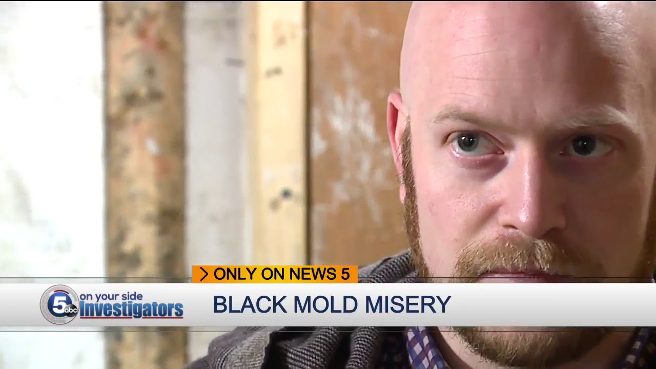 Northeast Ohio homeowners need to use caution in picking mold removal contractors