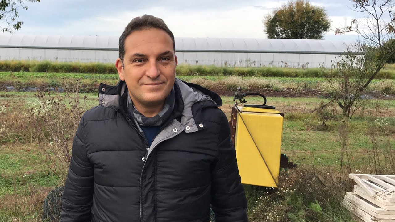 Utilizzo dei microorganismi utili in agricoltura - Sellitto Vincenzo Michele